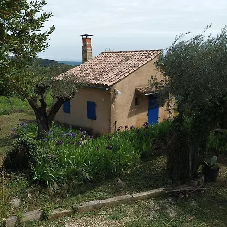 Chalet Le Petit Chalet-mazet *