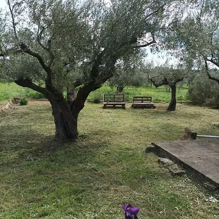 Le Petit Chalet-mazet * Saint-Bonnet-du-Gard